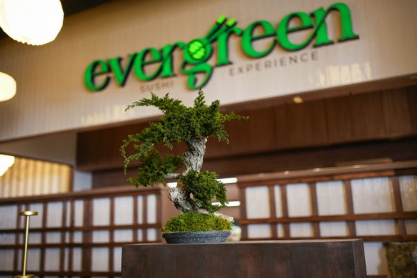 evergreen2809231